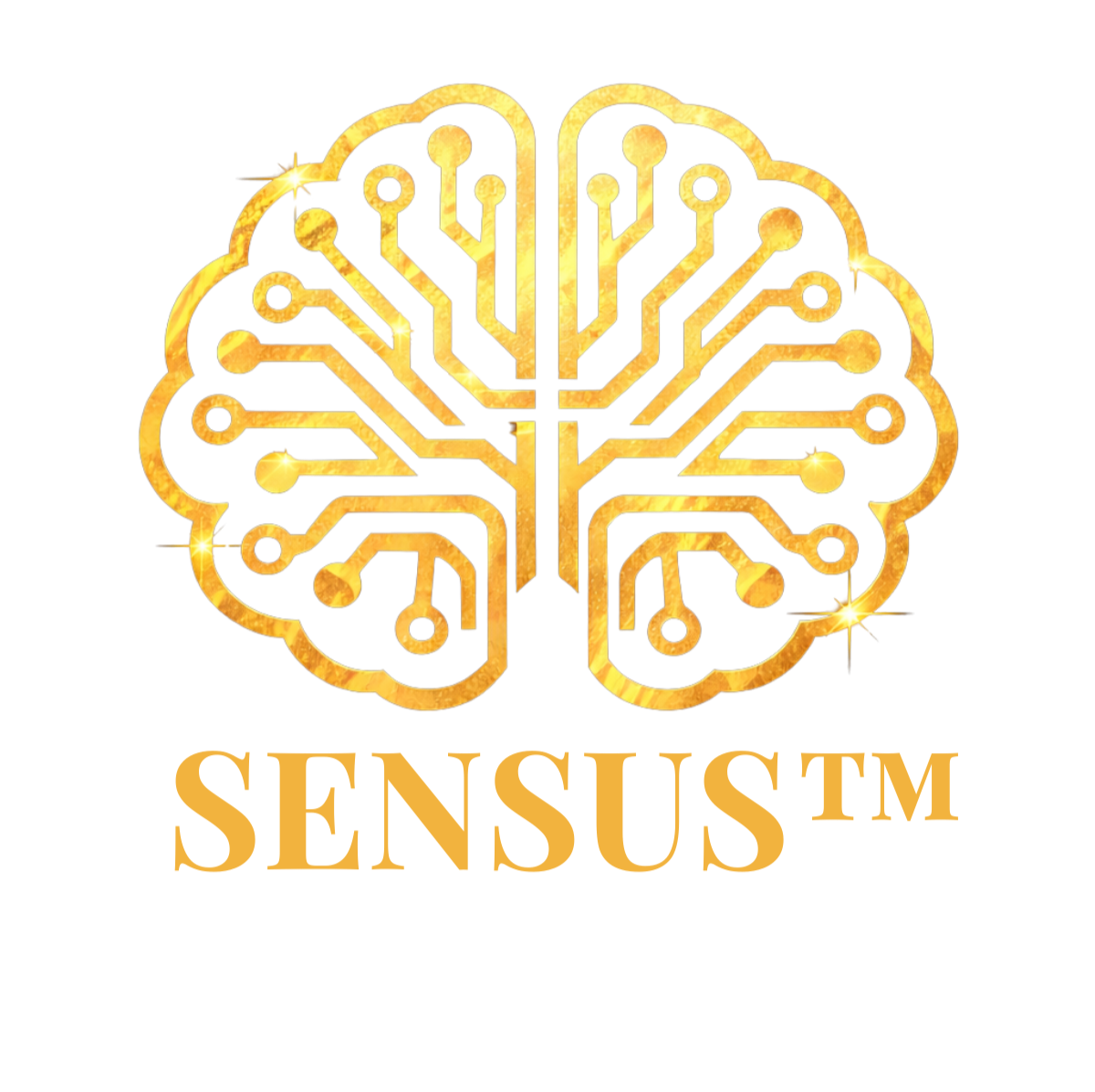 SENSUS INTELLIGENCE Consultora en Hostelería con Tecnología Empresarial IA